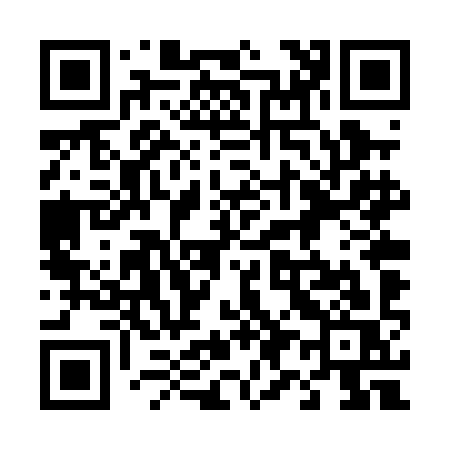 QR code for 494PIS