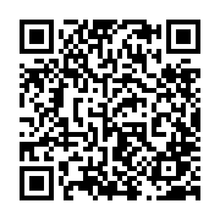 QR code for 496ZLT