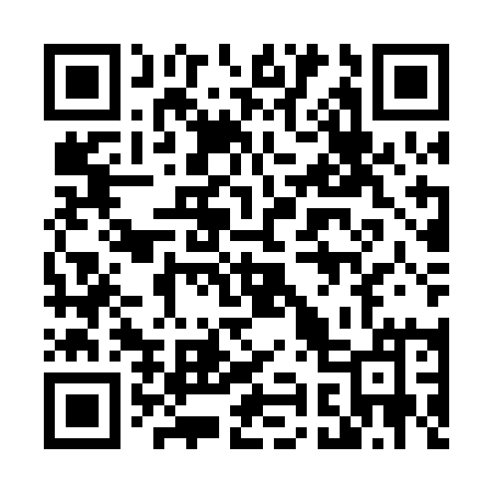 QR code for 498PAM