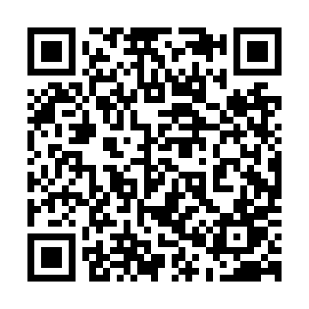 QR code for 500NPT