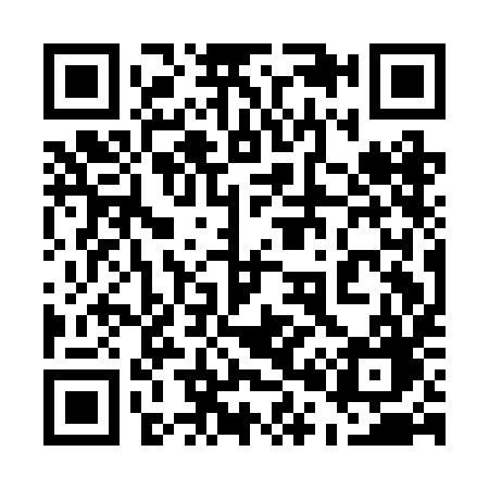 QR code for 501BIG
