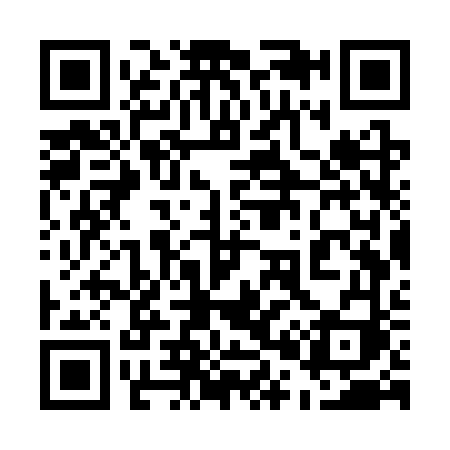 QR code for 507SVI