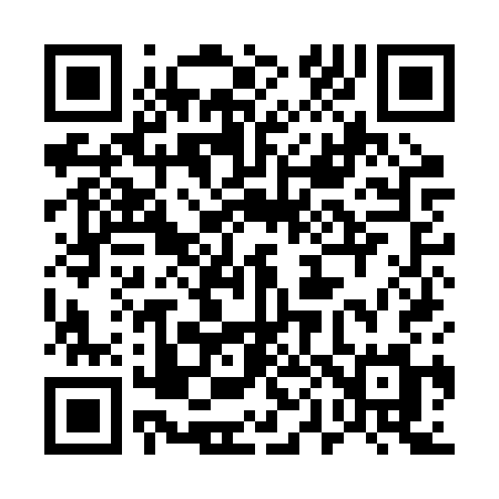 QR code for 509BSM