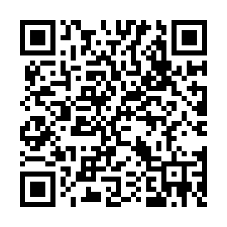 QR code for 509IDT