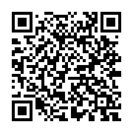 QR code for 509PZT