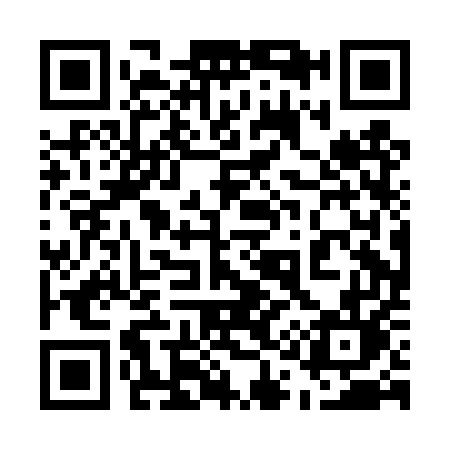 QR code for 510DUL