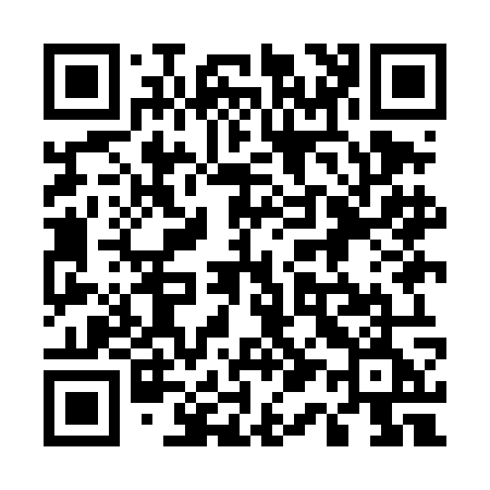 QR code for 519DOE