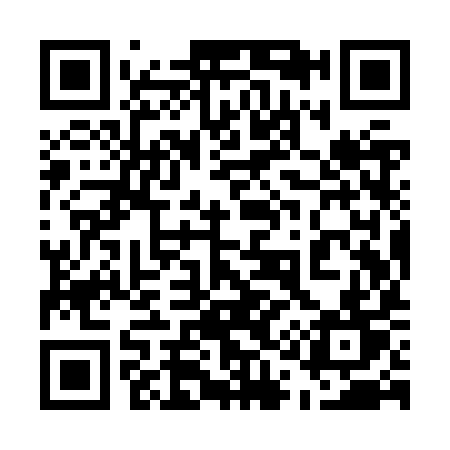 QR code for 519ZYT