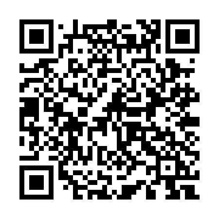 QR code for 520PDI