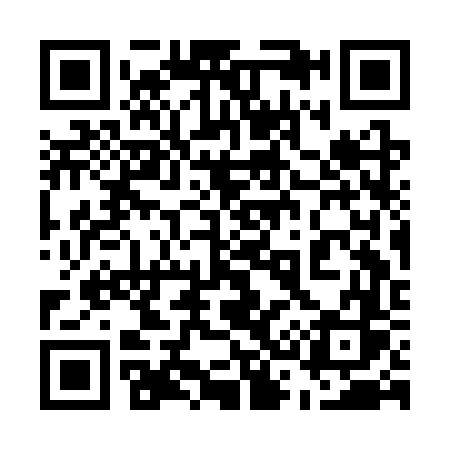 QR code for 533CVS