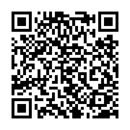 QR code for 533GOX