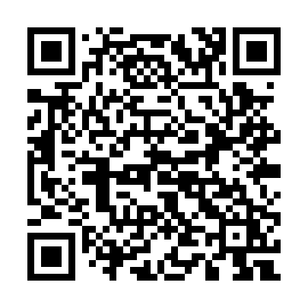 QR code for 541PPZ