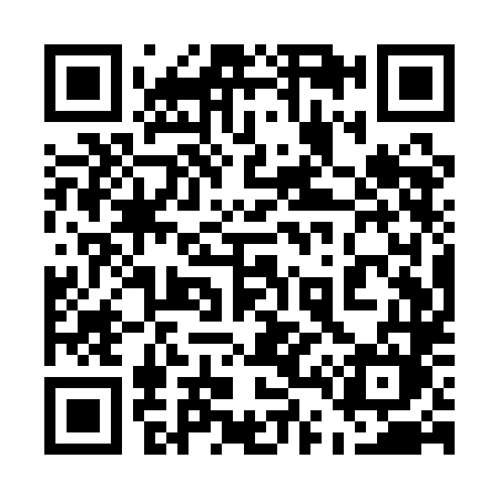 QR code for 541QLM
