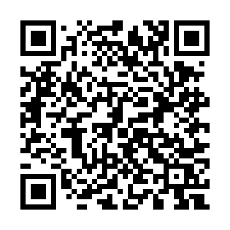 QR code for 545DNS