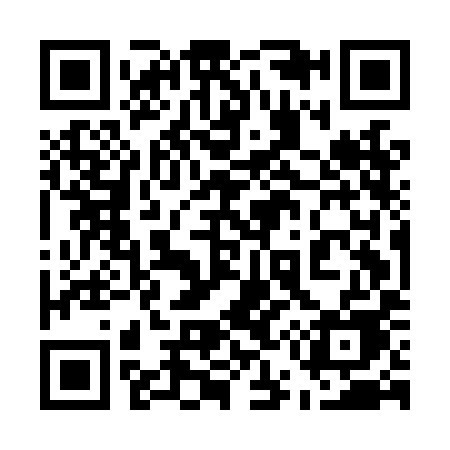 QR code for 555LIE