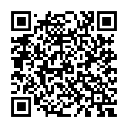 QR code for 597HFI