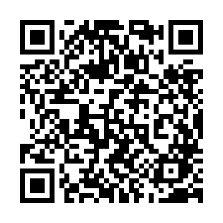 QR code for 599ZLO