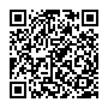 QR code for 601QMZ