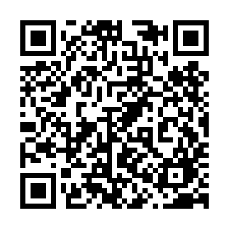 QR code for 603DIG