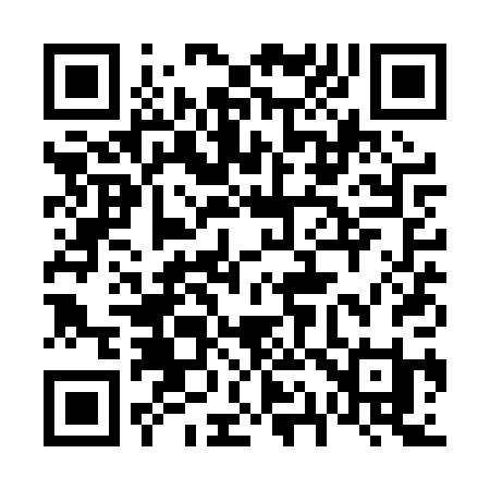 QR code for 611PPI