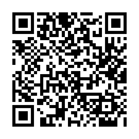 QR code for 636QIS