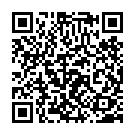 QR code for 638DIX