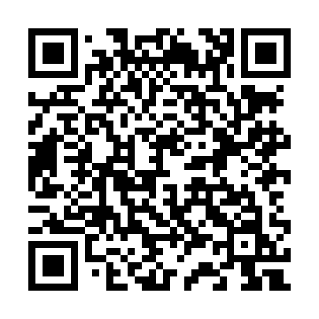 QR code for 638LAN