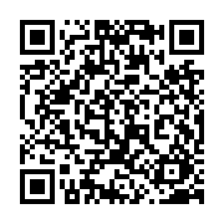 QR code for 641NRO