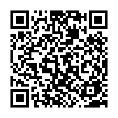QR code for 641PBE