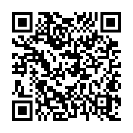 QR code for 641SMX