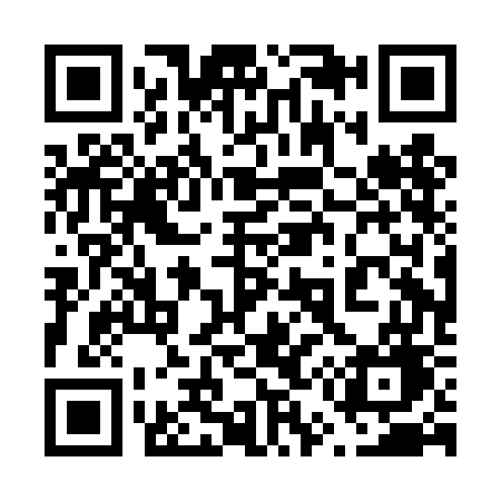 QR code for 650DGG