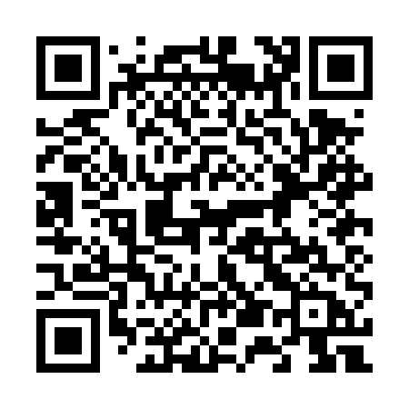 QR code for 650DUB