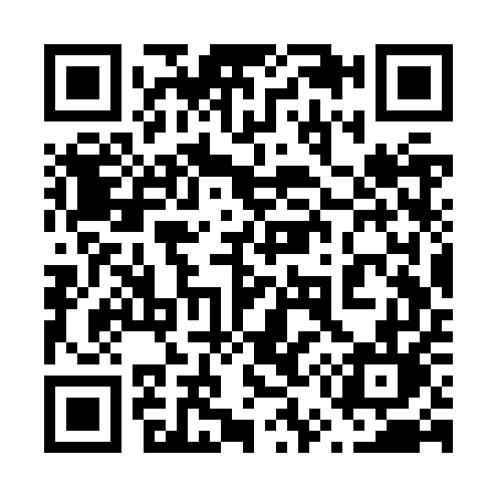 QR code for 653ZUL
