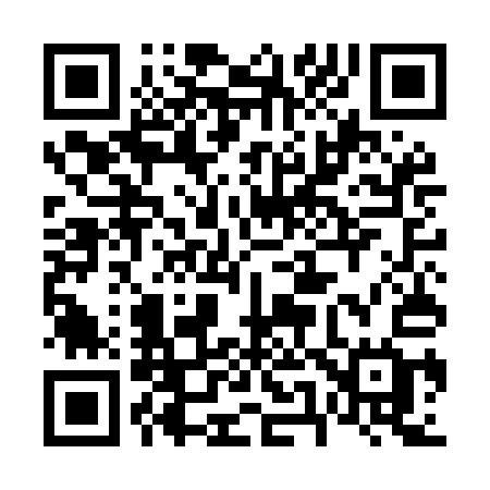 QR code for 655MAG