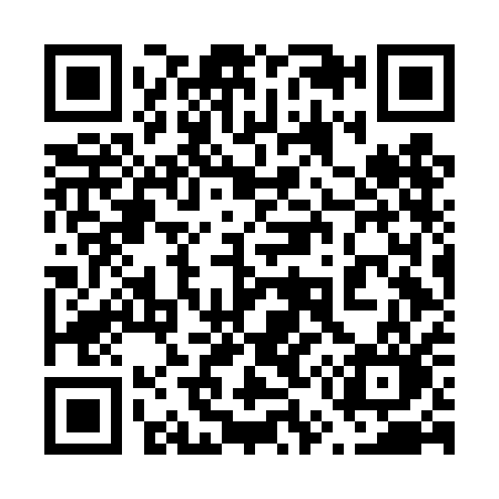 QR code for 656DAO