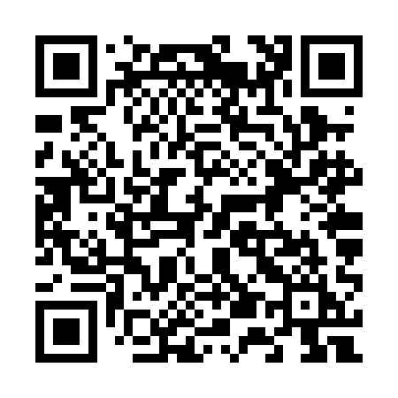 QR code for 656PAI