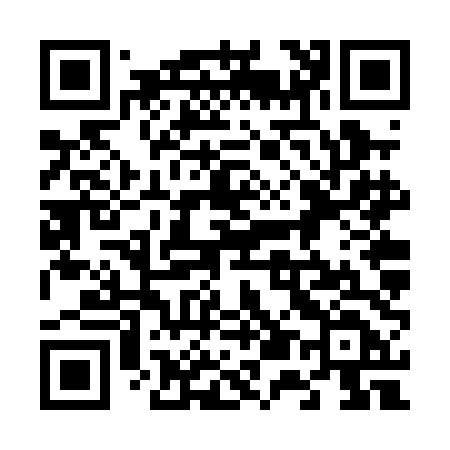 QR code for 656PDD