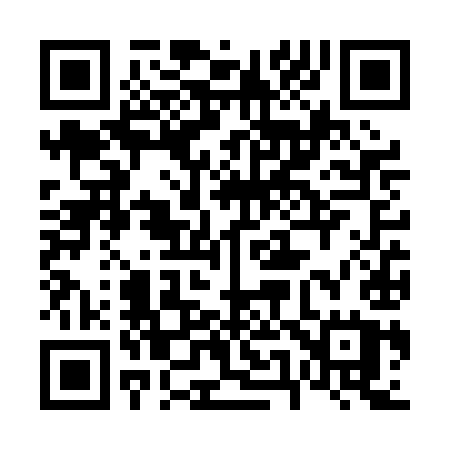 QR code for 656PIU
