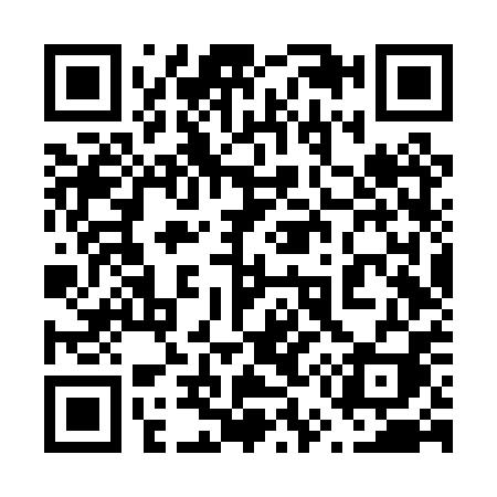 QR code for 656PPI