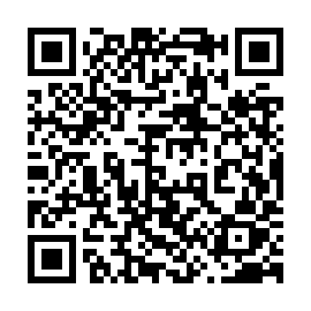 QR code for 665ZYZ