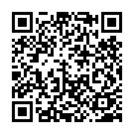 QR code for 667DAU