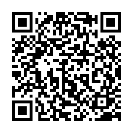 QR code for 667PUS