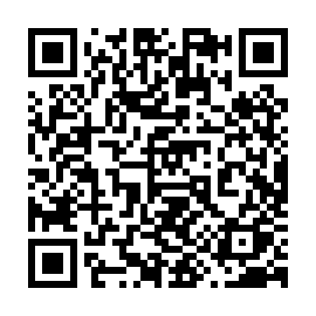 QR code for 690PZQ
