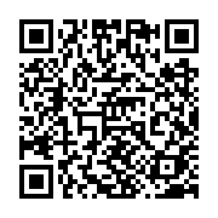 QR code for 696WPI