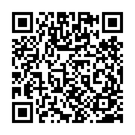 QR code for 699DDP