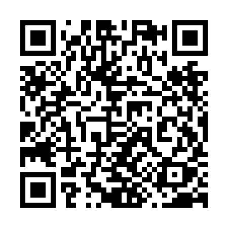 QR code for 699NIY