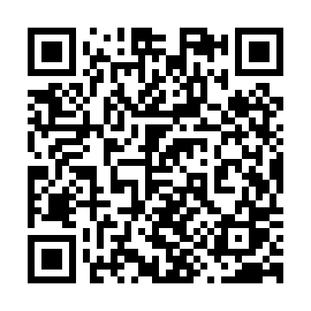 QR code for 699PPS