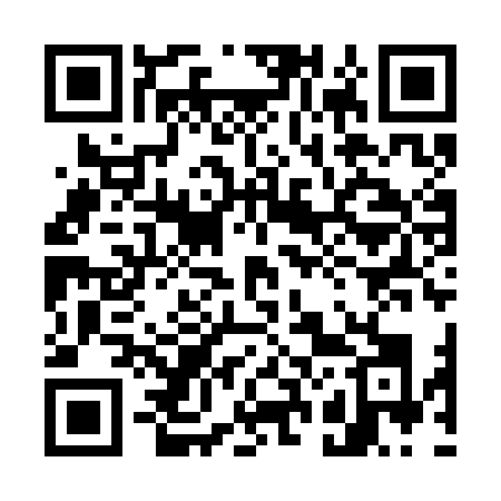 QR code for 729SNK