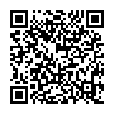 QR code for 746INK