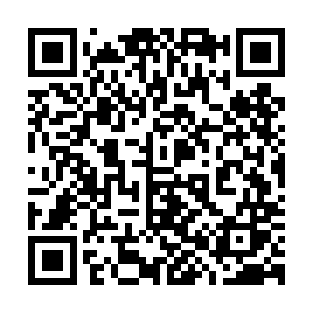 QR code for 787DMS